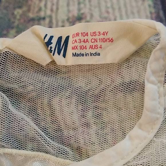 Ivory Embroidered Mesh Long Sleeved Blouse - Picture 7 of 7